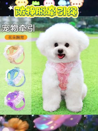 #防挣脱牵引绳 宝子们,挖到超可爱的牵引绳啦😍狗狗猫咪都能用的背心式公主背带,可爱到犯规💕防挣脱设计超安心,带毛孩子出门再也不怕啦~ #狗狗牵引绳 #猫咪牵引绳 #背心式遛狗绳