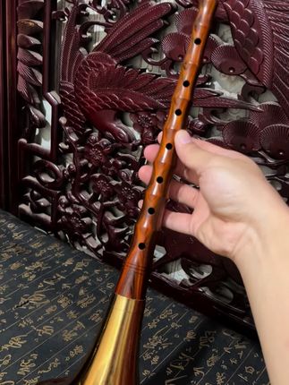 南美红酸枝降B调专业演奏级唢呐全套298送一个唢呐包。 #专业唢呐