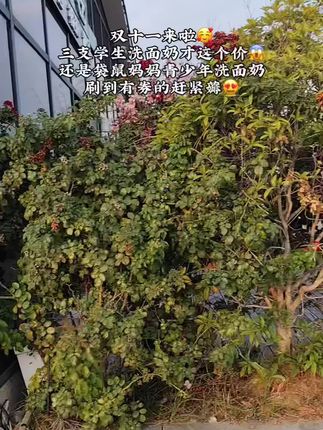 孩子到了青春期不知道给孩子用什么#洗面奶 的话就去用它#袋鼠妈妈青少年洗面奶 温和清洁不刺激洗完小脸干净清爽不紧绷,孩子也喜欢#学生党必备 #学生党护肤