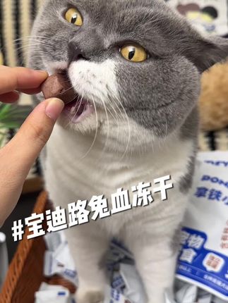 宝迪路兔血冻干买二送一 还有那个姐妹没抢到抓紧抢 #宝迪路兔血冻干 #兔血冻干 #猫咪冻干 #猫零食 #萌宠好物