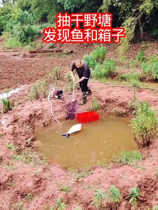 ##拳皇98终极之战WEB ##抖音小游戏
