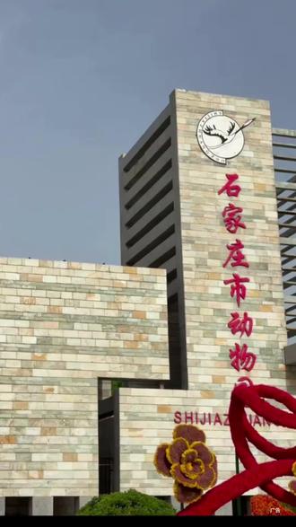 你们赶紧囤石家庄动物园这个活动,太合适了,但包括了动物园的门票,还有极地馆的门票#石家庄动物园
