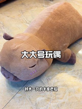 好好rua!!!抱起来贼舒服了!!当床搭子腰靠都行#家居好物 #毛绒公仔 #公仔 #抱枕