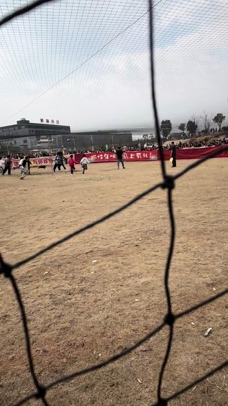 就是这么牛,小小猪,拿捏#醴陵抓猪#场面壮观 #牛逼哥