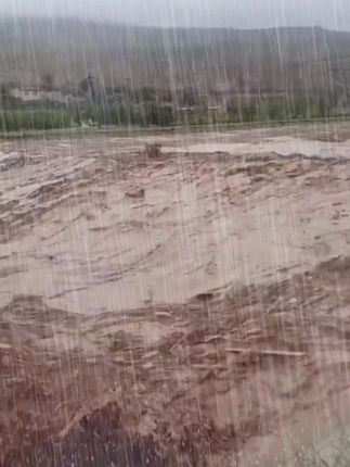 头回见这么大雨,太恐怖了#天气预报 #极端天气 #洪水无情