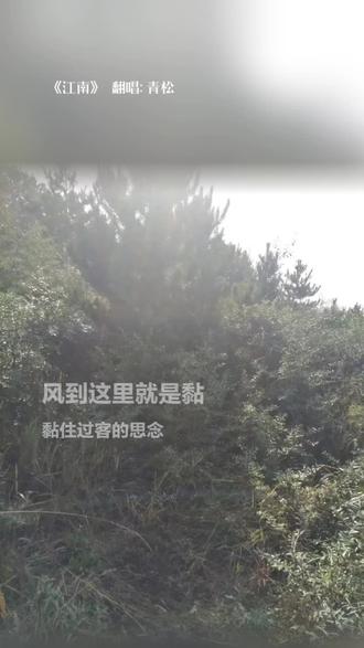 #文案在歌词里 我居然听了好几遍😂😂😂