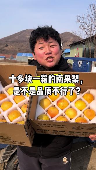 #鞍山南果梨 依然是很好的南果梨,卖的便意是因为库存压力大。春季不耐储存,建议收到货的朋友,三分之一空箱常温,三分之一冷藏,三分之一冷冻。南果梨做冻梨非常好吃。