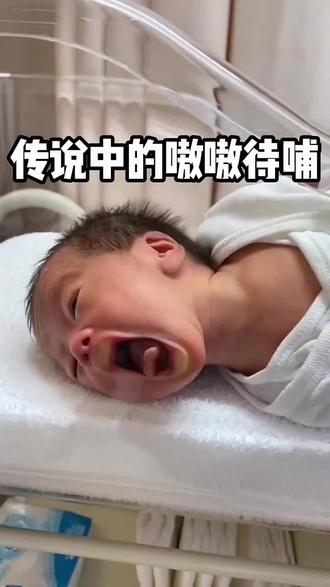 小宝宝表示我要吃奶我快饿疯了,紧接着#人类幼崽#饿