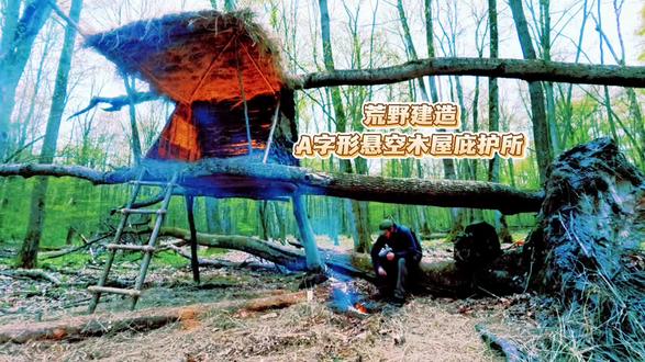 荒野建造、庇护所、树屋搭建、就地取材、苔藓封缝,野外生存 #荒野建造 用天然倒木徒手搭建悬空A字形#木屋 ,#庇护所,就地取材,鱼鳞树皮防水加干草保温,#野外生存技能 ,太实用,#治愈解压