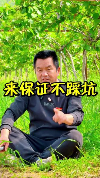 欢迎朋友们来始祖山游玩,到咱悦心农家院不仅可以避开堵车的烦恼,还可以享受到咱原汁原味的农家菜。体验山里的原生态。#五一去哪 #郑州周边游玩推荐 #始祖山农家院 #踏青好去处