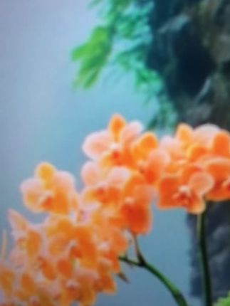 #视频同款