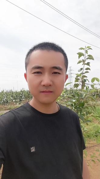 究竟什么样的苹果新品种,算是一个好的苹果新品种?要综合当地的地域性、气候、适合自己的,才是最好的。#苹果新品种 #苹果管理 #苹果苗木