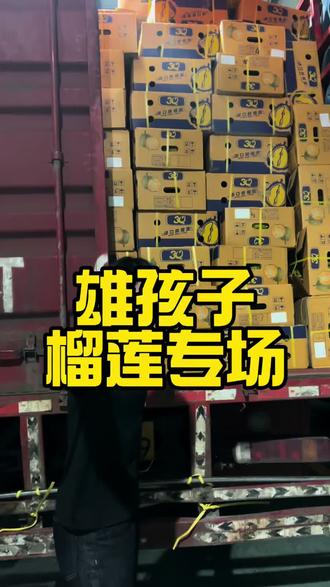 什么情什么爱 雄孩子榴莲58块#水果 #雄孩子奇遇记 #榴莲