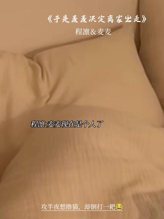 麦麦半夜被偷家了😂#于是麦麦决定离家出走