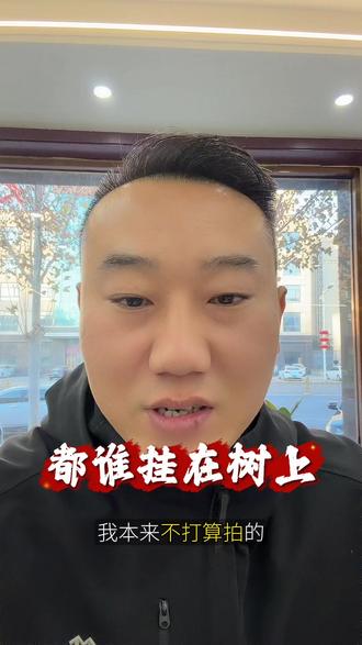 谁在树尖上?#白银