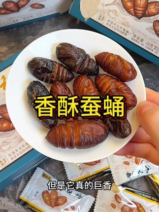 #东北 #蚕蛹 #酥酥脆脆 #营养健康 #零食推荐