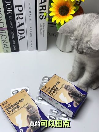 毛孩子掉毛掉得心疼?多半是缺了D生物素!这款每剂含25000mg高含量D生物素,帮毛发光泽不打结,赶紧给主子安排上~#生物素#宠物D生物素#美毛#猫狗#抖in萌宠计划