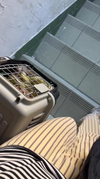 人,这就是咪的来时路(望远方表情
#流浪猫救助 #世界不能没有猫猫 #萌宠出道计划 #带猫回家 #收养流浪猫