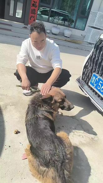 一摸狗头万 事不愁;二摸狗脸,四季平安;三摸狗嘴,大富大贵;四摸狗背,顺风又顺水;五摸狗尾,十全又十美