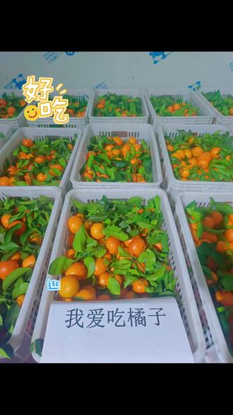 刚下树的砂糖橘,爱媛果冻橙,需要的找我哦😁