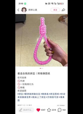 来自一个半夜发疯的人,突发奇想给同担弄的拼豆#拼豆