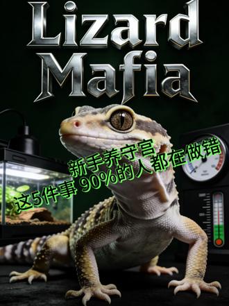 新手养守宫 5大禁忌⚠️#爬宠 #爬宠饲养日常 #守宫 #爬宠圈