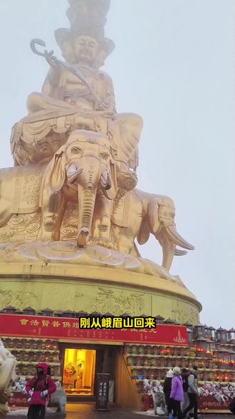 峨眉山从楼梯摔下来的经验#爬山 #徒步 #峨眉山旅游攻略 #峨眉山 #旅行推荐官