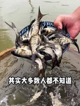 #em菌#稳水调水助肥水#降氨氮亚盐#鱼耀#鱼虾蟹养殖