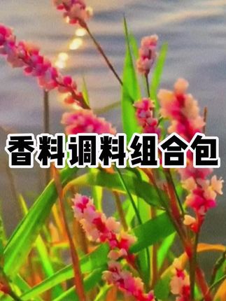 家家户户都用得上的八角香叶桂皮香料包来活动了,6大包才这个价真的太划算了#香料包