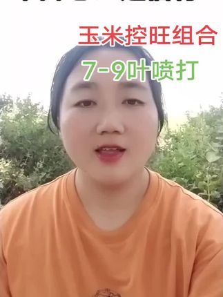 三农#农民#增产#玉米种植