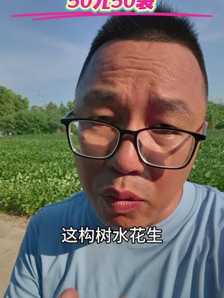除构树水花生拉拉秧节节草就在草甘膦或者精草铵膦基础上配上三氯吡氧乙酸,那真的是死叶烂根不返青#农业技术推广 #除草剂 #三氯吡氧乙酸