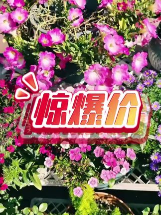 #疏通剂#管道疏通剂#下水管道疏通剂#老管道疏通剂#厕所疏通剂