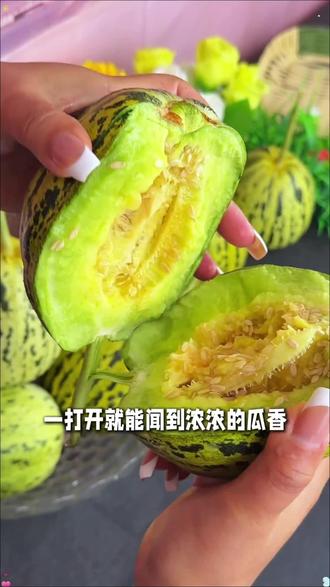 一年一季的山东头茬花美人甜瓜,清脆清甜,脆甜爽口,真的巨好吃!#甜瓜 #脆甜多汁 #八里香甜瓜 #花美人甜瓜