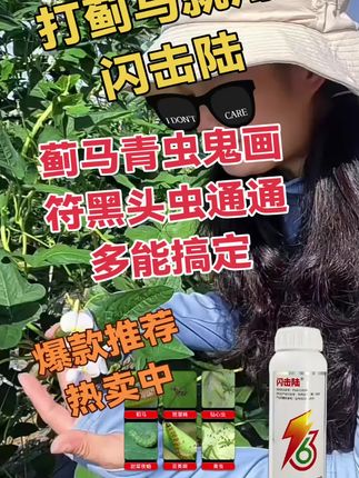 闪击陆杀虫豆角辣椒茄子葱红黄黑蓟马钻心虫青虫黑头虫鬼画符32#三农种植 #种植小技巧 #农业知识 #农业种植技术 #强烈推荐