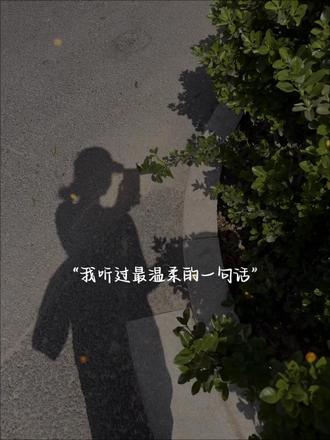 你知道它的意思吗|我听过最温柔的一句话大概就是:WYZDZ,你知道它的意思是什么吗?#情感共鸣