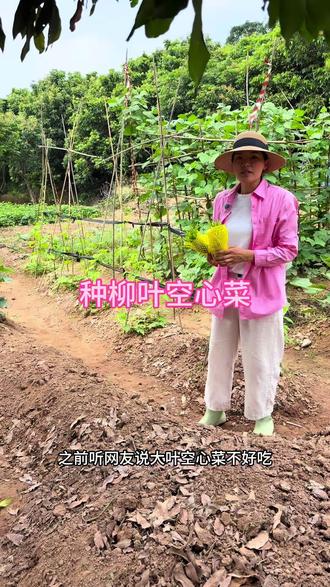 大叶空心菜和柳叶空心菜哪个好吃?#三农 #种菜 #全程无公害种植 #三农种植 #原创视频