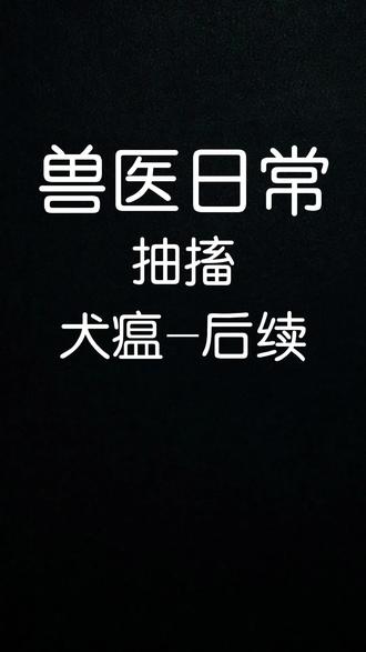 #乡村兽医的一天 你们要看的犬瘟好了以后的