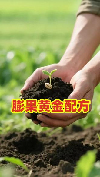 膨果黄金配方#磷酸二氢钾 #钙镁硼锌铁 #芸苔素 #三农种植 #槟榔种植