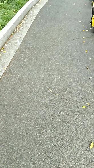 谁想出来的520?#520 #嵊州方言