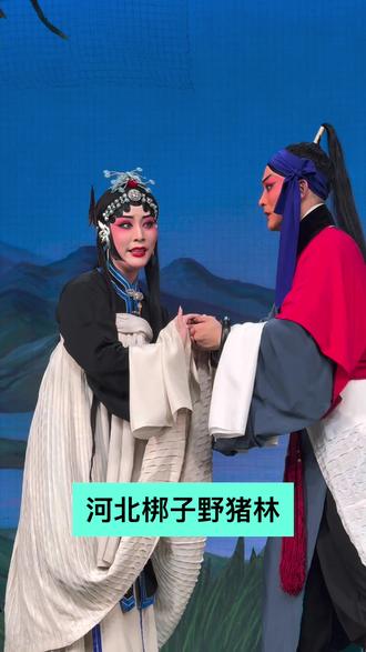 河北梆子野猪林 马曌饰林冲 王思佳饰林娘子 #河北梆子 #地方戏文化 #北京市河北梆子剧团#抖音小助手dou上热门