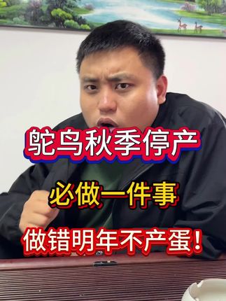 鸵鸟秋季停产,必做一件事,做错明年不产蛋!#鸵鸟 #鸵鸟养殖 #鸵鸟苗 #鸵鸟苗最新养殖技术 #养鸵鸟