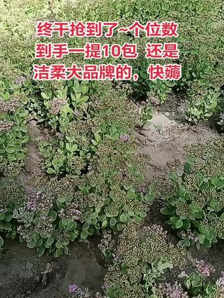 #强烈推荐 #抽纸 #纸巾 #纸巾盒 #抽纸巾