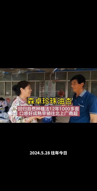 森卓珍珠油杏#杏子熟了