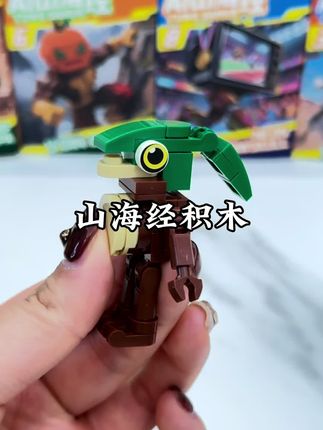 在家给孩子准备一套积木吧,一玩就是一整天,锻炼孩子动手动脑和专注力#益智玩具 #积木