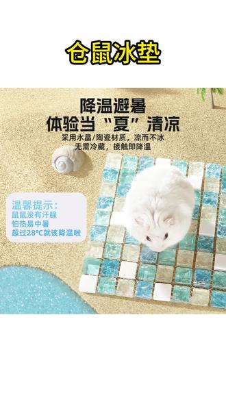 宠物散热板 仓鼠降温用品夏天散热板水晶冰垫兔子凉席铝板冰床金丝熊消暑用品#宠物散热板 #仓鼠冰垫 #宠物冰垫 #兔子凉席 #仓鼠降温用品