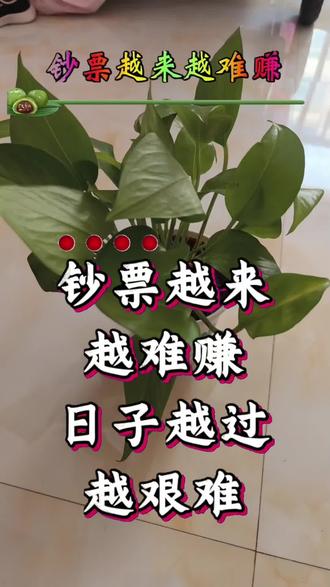 想学山歌的,找我。可以教你