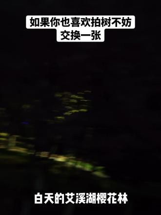 如果你也喜欢拍树不妨交换一张 位置就在艾溪湖东5门进门右手边!比艾溪湖公园东6门的樱花树更大更高,可以拍氛围感樱花大景人像,推荐晚上来拍夜樱哦,不用人挤人!
#我在抖音聊拍照 #如果你也喜欢拍树不妨交换一张 #接下来的春天是这样的 #宫园薰 #南昌拍照