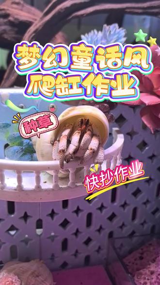 梦幻童话风蟹缸作业来啦!快来抄作业吧!#寄居蟹 #寄居蟹换壳 #寄居蟹的日常 #寄居蟹造景 #寄居蟹的快乐