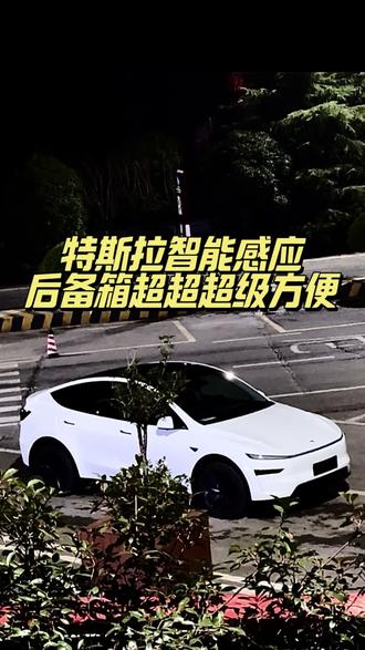 别人有一脚踢开后备箱,鞋子都踢掉了也没踢开,咱们特斯拉有智能感应开后备箱,超级方便,如果你还不会用,那么赶快来看看这条视频,十秒钟教会你。#特斯拉 #特斯拉model3 #特斯拉modely #每天一个用车知识