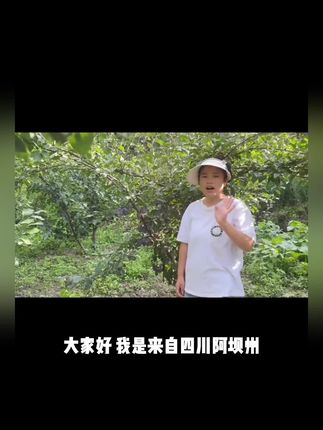 (京东顺丰冷链)正宗汶川西梅蓝蜜西梅3斤5斤1斤